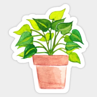 Bare Root Philodendron Brazil/Pothos Plant Sticker